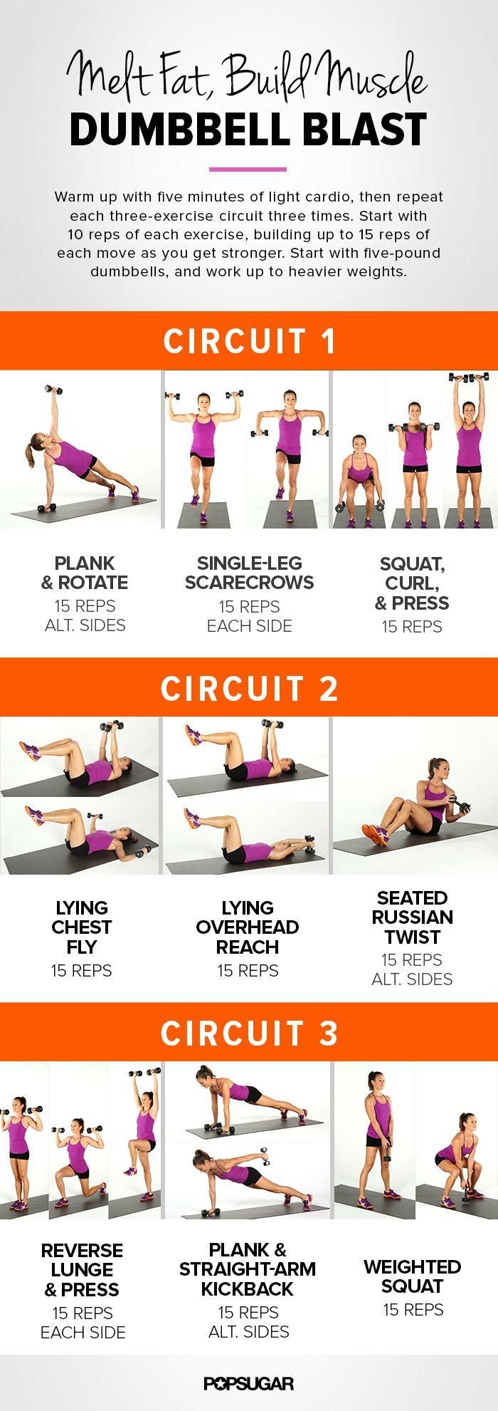 Melt Fat And Build Muscle Printable Workout With Weights