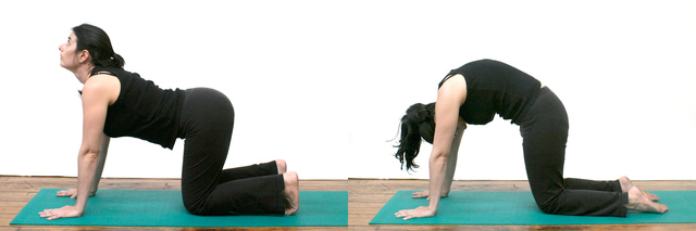 10 Yoga Stretches for Your Daily Routine