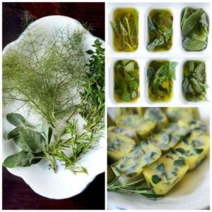 How to freeze and Preserve Herbs