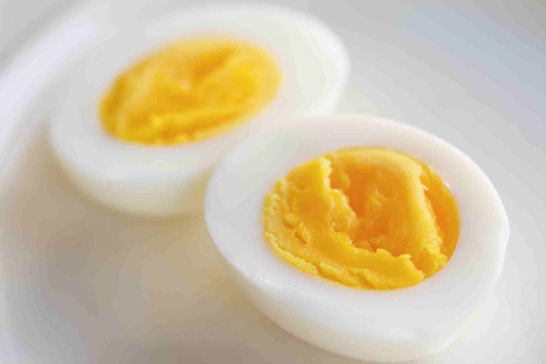 7 Surprising Health Benefits of Eggs — HealthDigezt.com