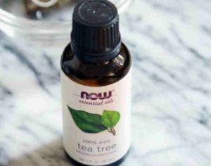 tea-tree-oil-for-hair